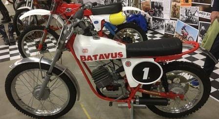 Batavus