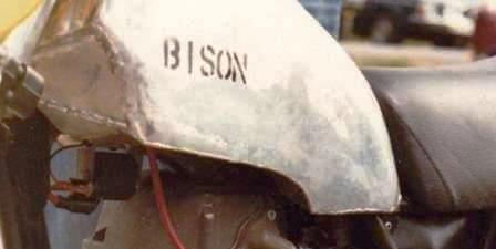 Bison